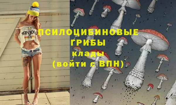 МДПВ Семикаракорск