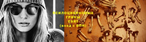 винт Семилуки