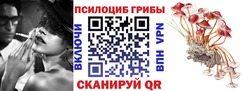 Псилоцибиновые грибы мицелий  KRAKEN ссылка  Ильский  купить наркотик 